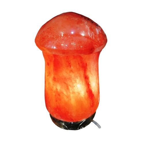 himalayan salt lamp mushroom